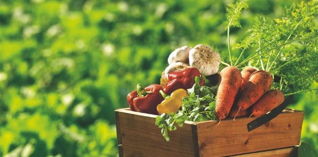 Сезонні пропозиції