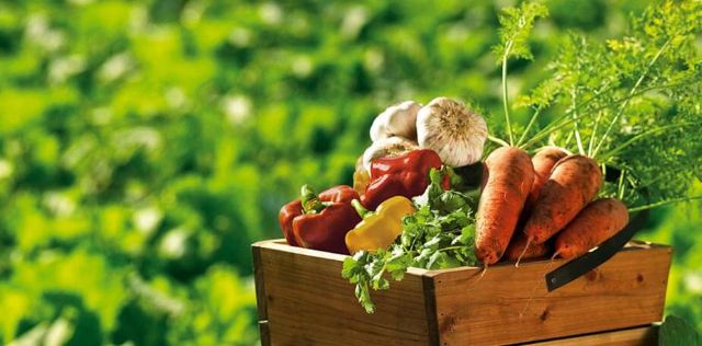 Сезонні пропозиції