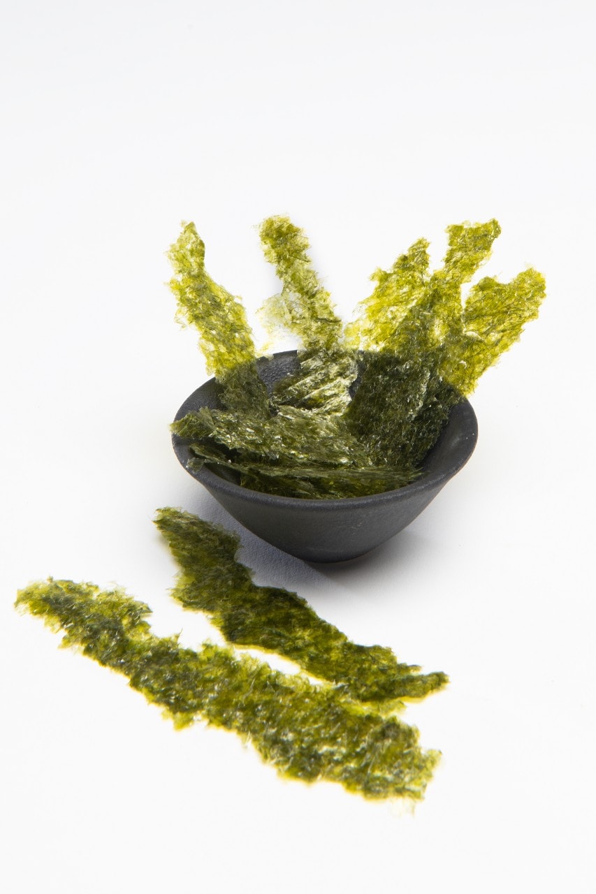 Водорості норі