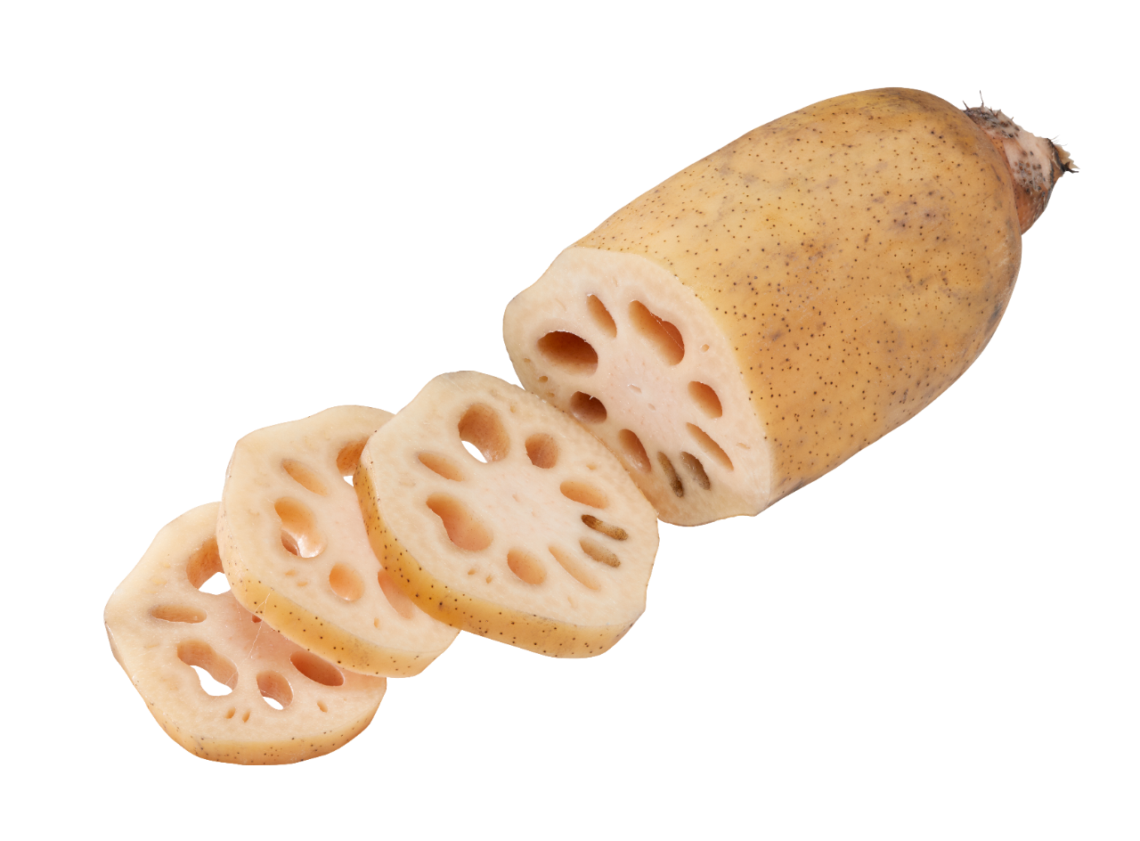 Корінь лотоса