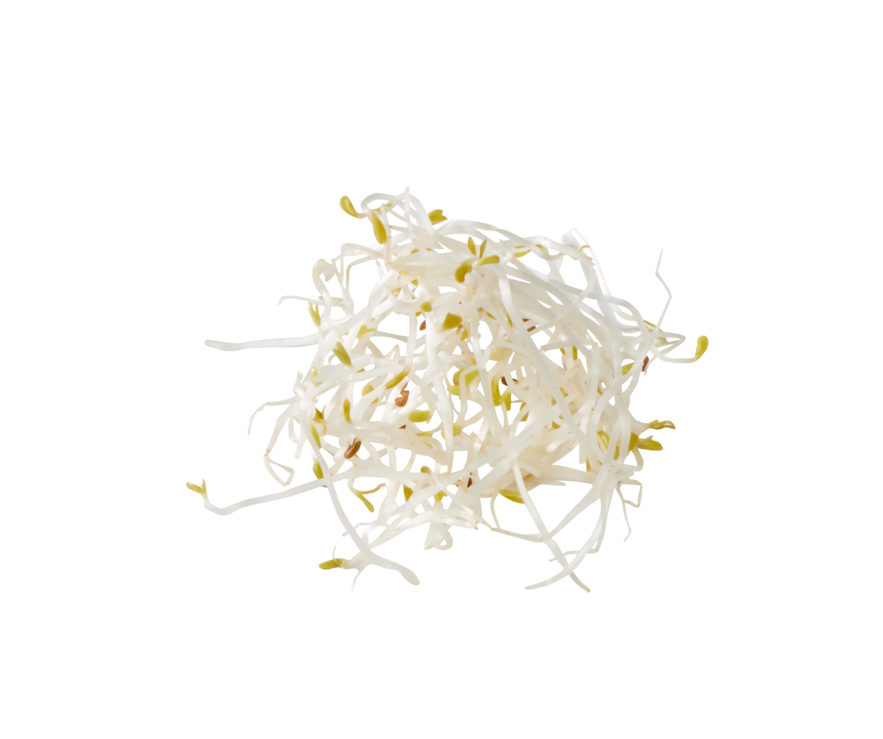 Паростки люцерни