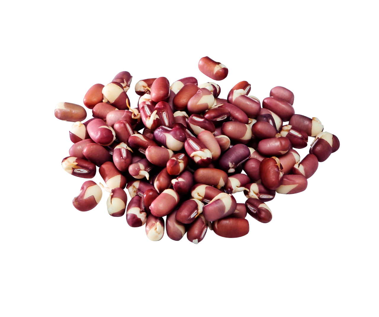 Пророщена квасоля