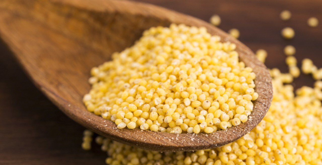 Злаки, які вирощували наші предки, повертаються до нашого столу