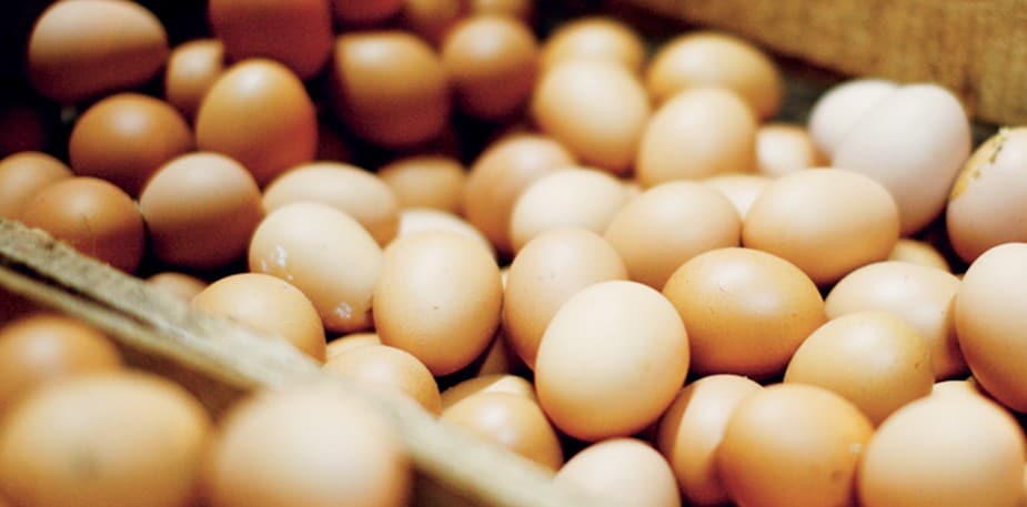 Розрахунок собівартості харчових продуктів