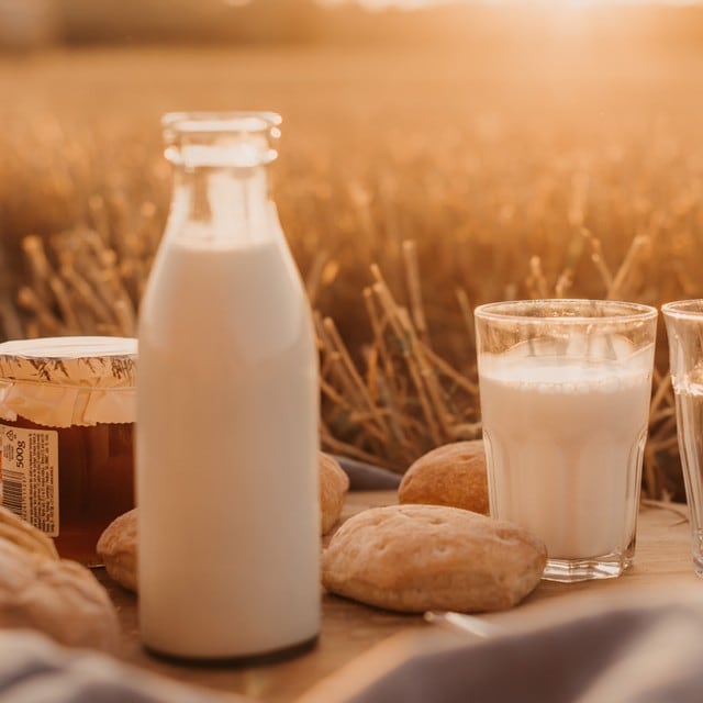 Чим замінити молочні інгредієнти в безлактозних стравах?