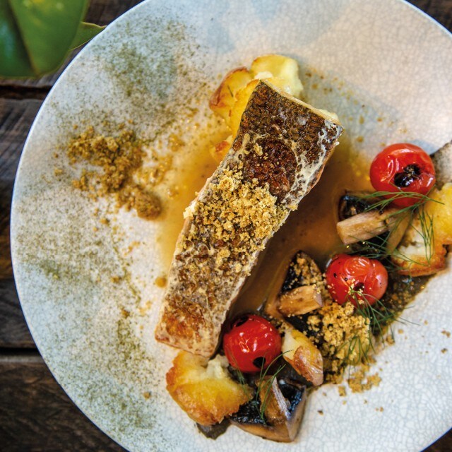 Ідеї ​​для подачі страви — що використовувати як прикрасу на тарілці? 