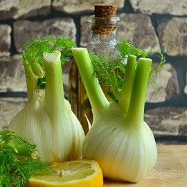 Фенхель Фенхель